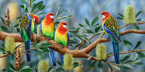 Eastern Rosella (Platycercus eximius) Australian Wildlife Art by Natalie Jane Parker
