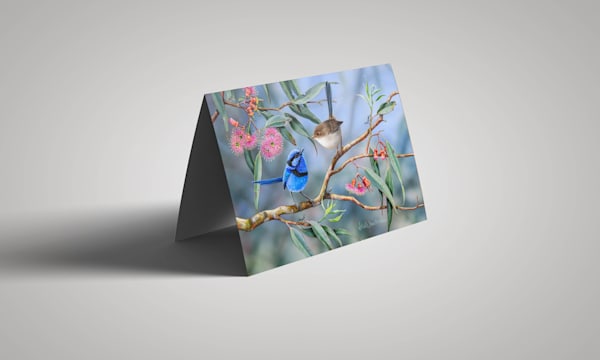 Greeting Card - Coral Gum Attraction - Splendid fairy-wrens | Natalie Jane Parker | New Larger Size