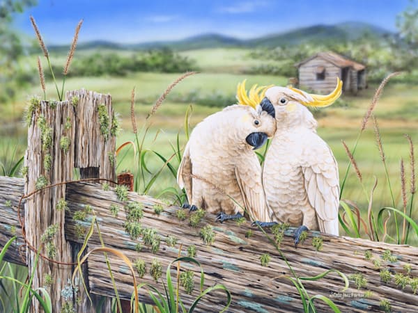 Sulphur-crested Cockatoo (Cacatua galerita) Australian Wildlife Art by Natalie Jane Parker