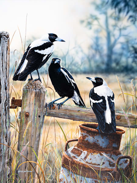 Three Magpies on a Rustic Fence | Wildlife Nature Art Print