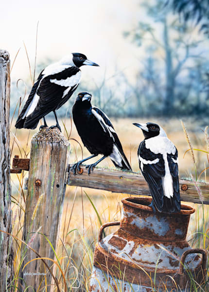 Australian Magpie Jigsaw Puzzle | 1000-Piece "Country Lifestyle"