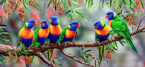 Rainbow Lorikeet (Trichoglossus moluccanus) Australian Wildlife Art by Natalie Jane Parker