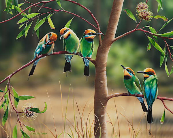 Rainbow Bee-eaters (Merops ornatus) Australian Wildlife Art by Natalie Jane Parker
