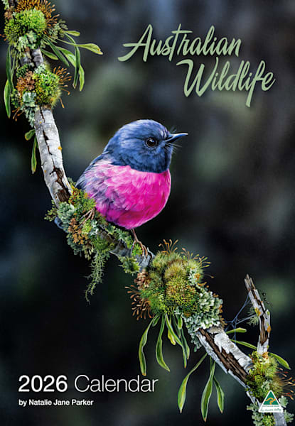 2026 Australian Wildlife Calendar - In Stock | Natalie Jane Parker
