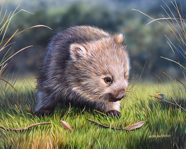 Wombat Art Print with Blue-banded Bee | "Afternoon Explorer" by Natalie Jane Parker