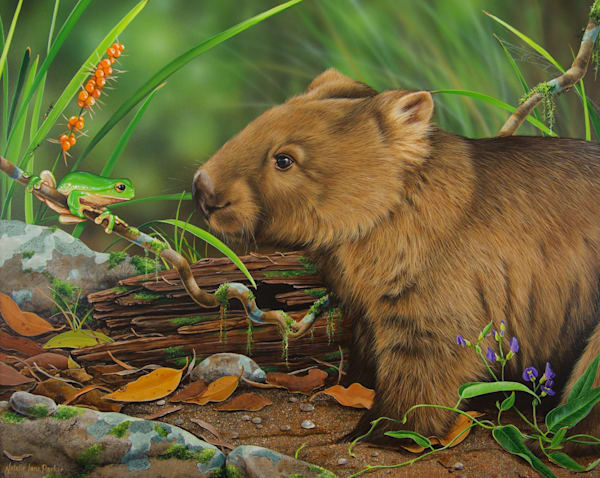 Furry Friends – Australian Mammal Art Prints | Natalie Jane Parker