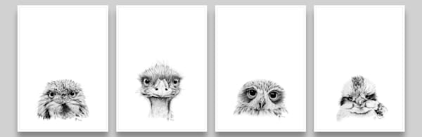 Feathered Pencil Collection - Kookaburra, Emu, Tawny Frogmouth and Boobook Owl