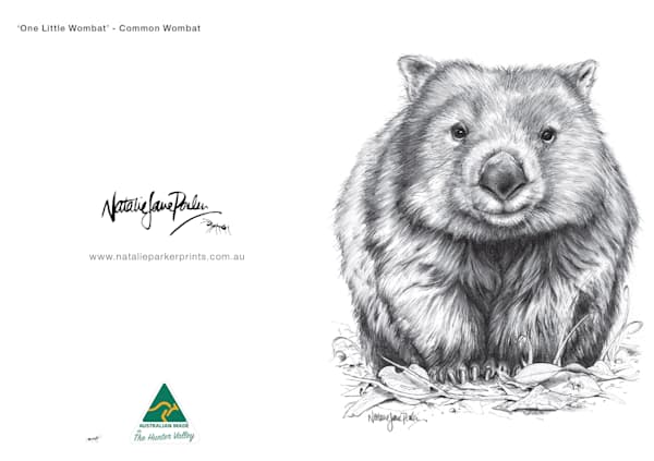 Sketches Greeting Card Set of 5 - Featuring Australian Native Wildlife