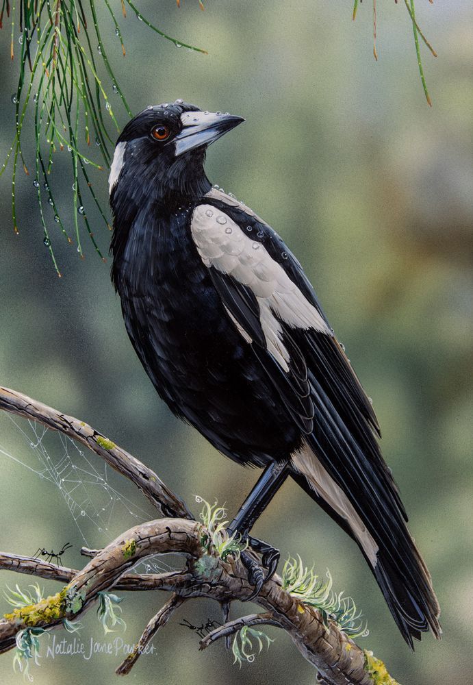 Mdawmdawmdawmdaw7qgraepd6cacehr zcfbfywxu2fyveayeunrgwctqqqltnerwweter6yomfiojy24adow ljj7f22f2vd2s3k0fn 38ezqodftc2xeuhdjufahdziomokxodj3hs jg da6ji5eudq olwagpj5emn5gcwqtb8fojfytzqry687nhytgf6tisdpuv wqtoktw4nnw kydbjz7qsosaaklyfwi m2bl ghfqh6uvubbpjqzilucflwulyo8akewlyndpbcjwmhxprtmemismhaeygz 8mp3g08y4xuseb9mcr8nyyc5szma