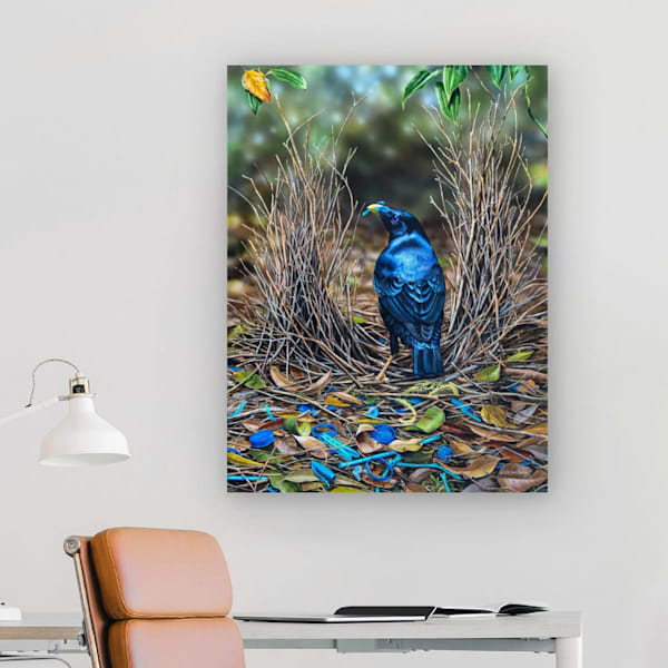 Australian Wildlife Art Collector Starter Series – Blue Attraction Satin Bowerbird | Natalie Jane Parker