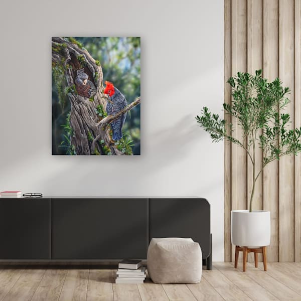 Happy Home Makers – Gang-gang Cockatoos Limited Edition Print | Award-Winning Bird Art by Natalie Jane Parker