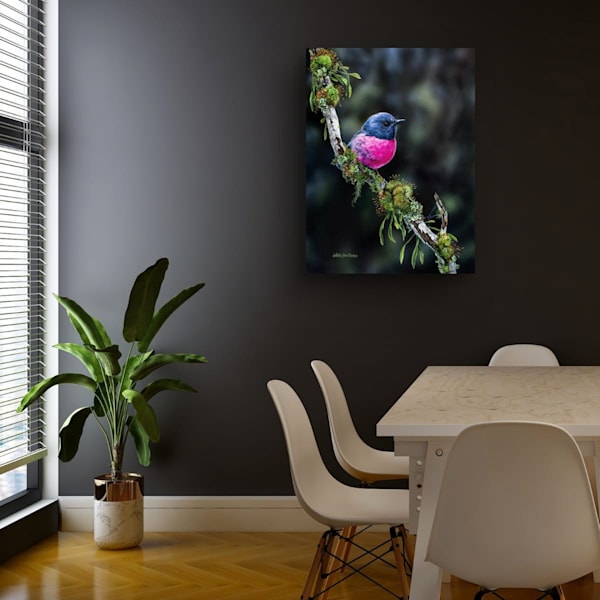 Australian Wildlife Art Collector Starter Series – Southern Colour Pink Robin | Natalie Jane Parker