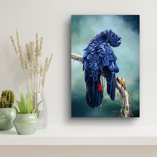 Watching you, watching me – Red-tailed Black Cockatoo | Limited Edition (5 Only) | Natalie Jane Parker