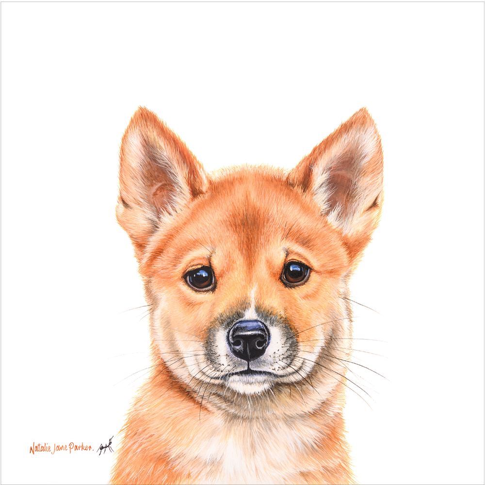 Mdawmdawmdawmdaw7qgraepd6cacehr zcfbfywxu2fyveayeunrgwctqqqltnerwweter6yomfiojy24adow ljj7f22f2vd2s3k0fn 38ezqodftc2xeuhdjufahdziomokxodj3hs jg da6ji5eudq olwagpj5emn5gfxovyeyiua2haikm t3neibic5f885shaamxrekcxor nqbnfxa76rhrc e2ijjvmfuwcbyysgcv bqvjy5oqct1uz6ekb88fo8laki518 cw8puwwhhpszv3phrvrv1i7c04br5qb8xhlml4l7rz3fpbnvys oyxwfw