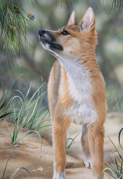 Large Australian Wildlife 2022 Wall Calendar - Portrait Edition