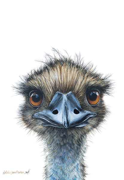  Australian Wildlife Portraits 2023 Wall Calendar