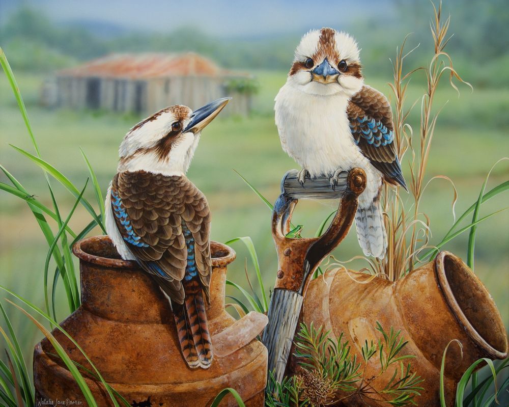 "Countrysiders" - Laughing Kookaburra Art Print | Natalie Jane Parker
