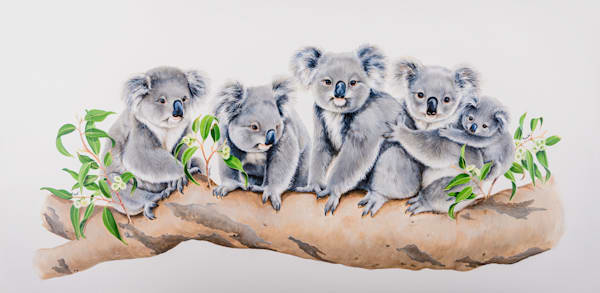 Koalas (Phascolarctos cinereus) Australian Wildlife Art by Natalie Jane Parker