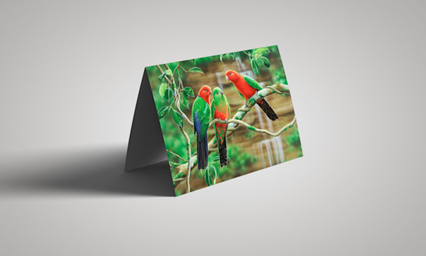 Greeting Card - Kings of the forest - Australian King Parrots | Natalie Jane Parker | New Larger Size