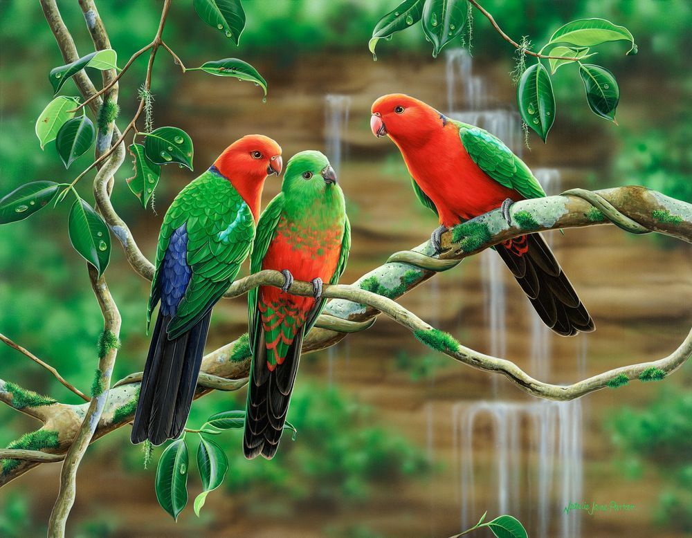 Australian King-Parrots (Alisterus scapularis) Australian Wildlife Art by Natalie Jane Parker
