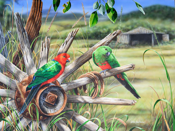 Australian King Parrots (Alisterus scapularis) Australian Wildlife Art by Natalie Jane Parker