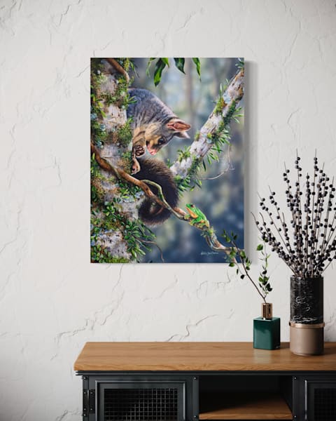 Australian Wildlife Art - Curious (Common Brushtail Possums and a Red-eyed Tree Frog) | Natalie Jane Parker - Ready to hang Artwork
