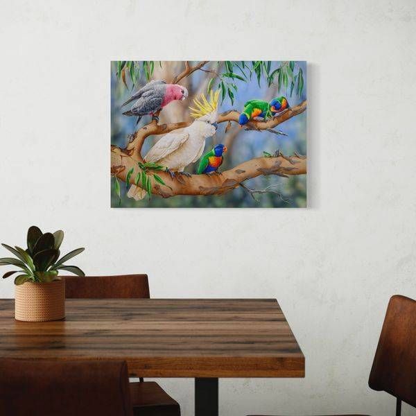 Australian Wildlife Art - Colourful Crowd (Galahs with Sulphur-crested Cockatoo, Rainbow Lorikeets and Eastern Dwarf Tree Frog) | Natalie Jane Parker - Ready to hang Artwork