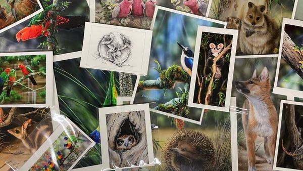 Sold Out   Mystery Print Pack | Natalie Parker Prints