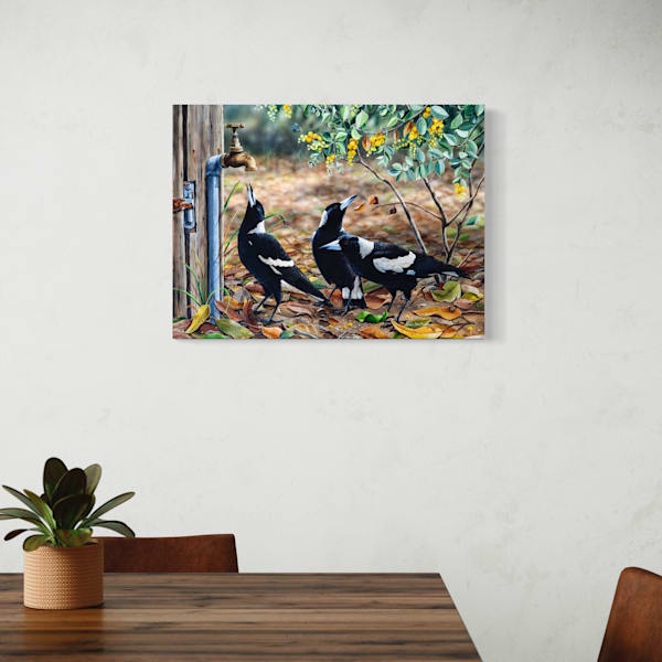 Waiting for My Turn – Australian Magpie Art Print | Natalie Jane Parker