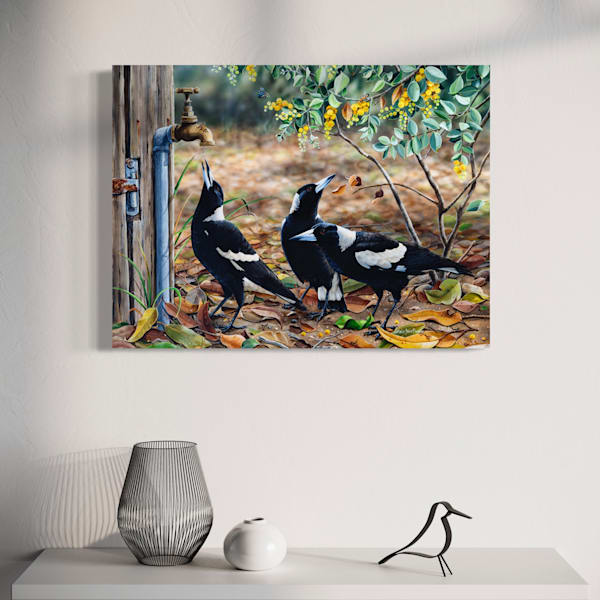 Australian Wildlife Art Collector Starter Series