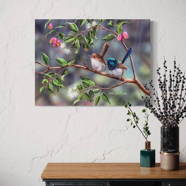 Australian Wildlife Art - Pleasant Company (Superb Fairy-wrens) | Natalie Jane Parker - Ready to hang Artwork