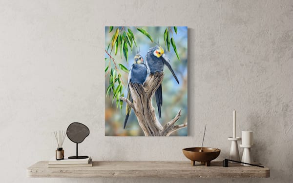 Cockatiel Art Print | "Duo" by Natalie Jane Parker