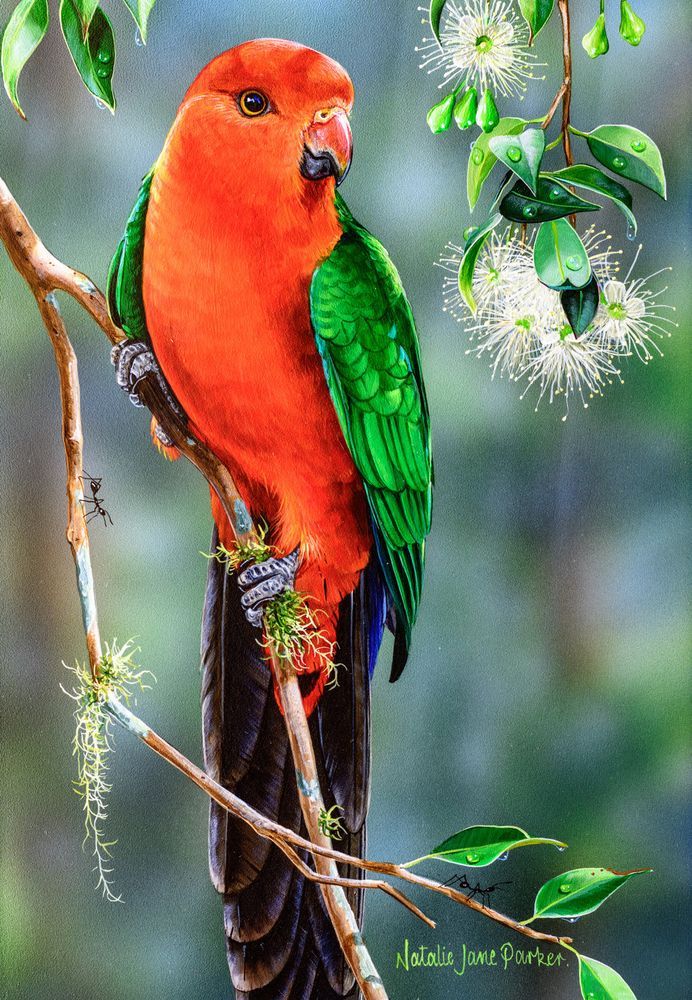 Mdawmdawmdawmdaw7qgraepd6cacehr zcfbfywxu2fyveayeunrgwctqqqltnerwweter6yomfiojy24adow ljj7f22f2vd2s3k0fn 38ezqodftc2xeuhdjufahdziomokxodj3hs jg da6ji5eudq olwagpj5emn5lekkgztboe1wlyxni5cpnayxgsyj 8ocbopf3glntrcy6zaohgrfgrot7e 30wwikxpevzpp hboi8wf ebph5slzvshi2l9qtjlufrj6hyxdemfvqcqjtjphhtigrrrldeun6hv5xa0dskaracr1vyuftarofstb 0onvf4hxzcl7fuzn38