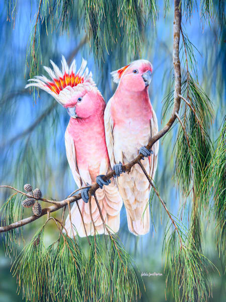 Outback Romance - Pink Cockatoos Australian Wildlife Art by Natalie Jane Parker
