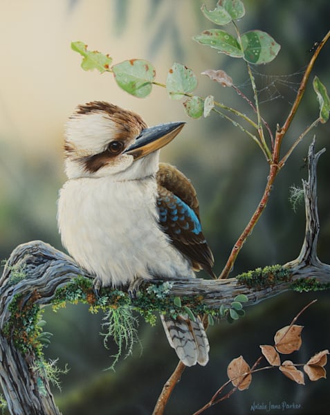 "A Winter's Morning" - Laughing Kookaburra Art Print | Natalie Jane Parker