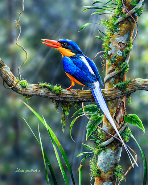 Buff-breasted Paradise-Kingfisher in Rainforest Habitat Art Print