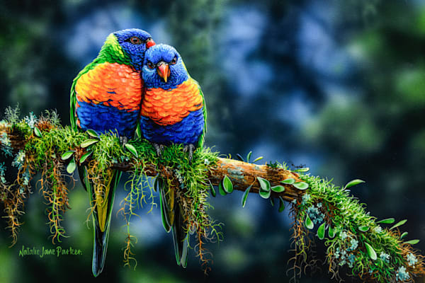 Winter Sun   1500x1000mm Fine Art Canvas Part Payment 1 | Natalie Parker Prints