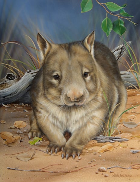 Northern Hairy-nosed Wombat (Lasiorhinus krefftii) Australian Wildlife Art by Natalie Jane Parker