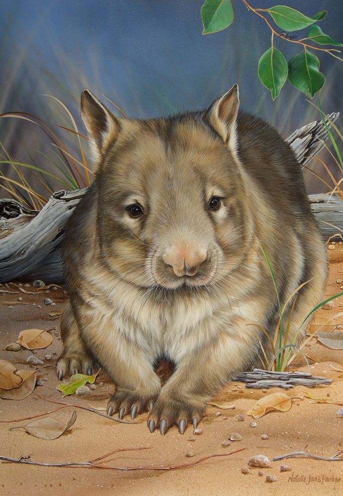 Mdawmdawmdawmdaw7qgraepd6cacehr zcfbfywxu2fyveayeunrgwctqqqltnerwweter6yomfiojy24adow ljj7f22f2vd2s3k0fn 38ezqodftc2xeuhdjufahdziomokxodj3hs jg da6ji5eudq olwagpj5emn5pe3kcuf 4b1wewcvj mrugxtme6r7 5jnvpgsrussxip4nlcvxllztvs9vbssizvumpc d7i8ub1yqdl2pbzh5nglbmzkwva5y8bgvahwnmcrro8ghhpnpdphmdstvhqzbe4m6hu0lpkkx4x6gz5cevnjlgv4agxp