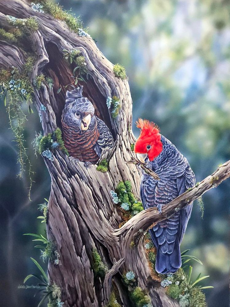 Mdawmdawmdawmdaw7qgraepd6cacehr zcfbfywxu2fyveayeunrgwctqqqltnerwweter6yomfiojy24adow ljj7f22f2vd2s3k0fn 38ezqodftc2xeuhdjufahdziomokxodj3hs jg da6ji5eudq olwagpj5emn5qcw6bdnb1pw anuinvzsikhq8i ymrlrtuvwuqektxyjxnqxicqwo bwltrmg12im2k3pn fjcf9u bnqpfkx 9pmuj3axo89dpylgq5m152isy9fxyyntixhgtskswgze 1 v0wugfti4rvvmdjjrsjg4a17srdwqgsd4mpdqzp3sajdxbdcpqbnckvnda