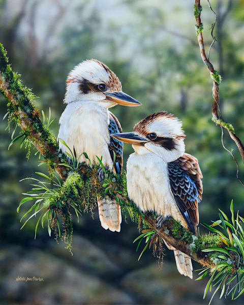 Laughing Kookaburra Art Prints by Natalie Jane Parker