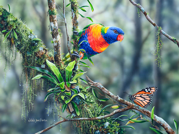 Rainbow Lorikeet (Trichoglossus moluccanus) with a Wanderer Butterfly (Danaus plexippus) Australian Wildlife Art by Natalie Jane Parker
