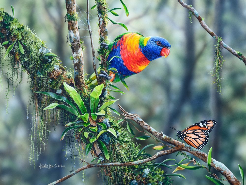 Rainbow Lorikeet (Trichoglossus moluccanus) with a Wanderer Butterfly (Danaus plexippus) Australian Wildlife Art by Natalie Jane Parker