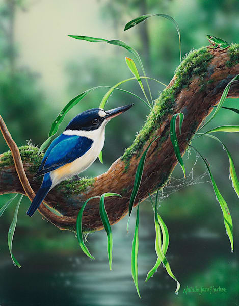 Forest Kingfisher (Todiramphus macleayii) with an Eastern Dwarf Tree Frog (Litoria fallax) Australian Wildlife Art by Natalie Jane Parker