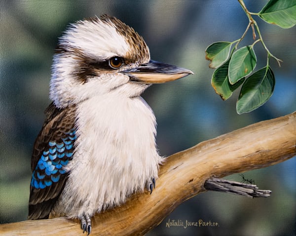 Sunny Outlook - Laughing Kookaburra Art Print | Optimistic Australian Bird Art
