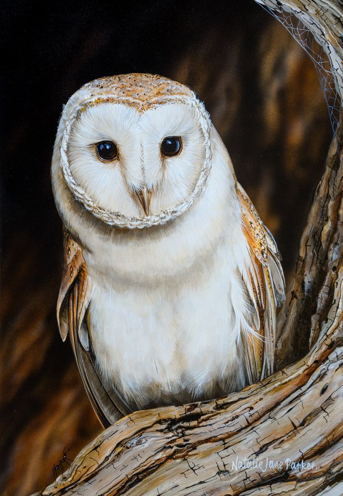 Mdawmdawmdawmdaw7qgraepd6cacehr zcfbfywxu2fyveayeunrgwctqqqltnerwweter6yomfiojy24adow ljj7f22f2vd2s3k0fn 38ezqodftc2xeuhdjufahdziomokxodj3hs jg da6ji5eudq olwagpj5emn5rfxgxymfom0mldrni pbuqhjoof8hrnlwxfgnrogemmmui7vdwkww9kwvskevmsdshfosieuiruwz4ab9pe8x58fqvtqeh784cosrhhq3z5bjap0qdzsu8ginzif4ekwhkojrqutho kealvonzyrsypb3w