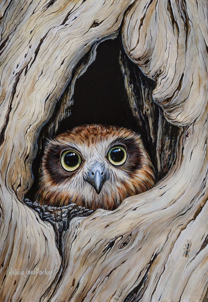 Mdawmdawmdawmdaw7qgraepd6cacehr zcfbfywxu2fyveayeunrgwctqqqltnerwweter6yomfiojy24adow ljj7f22f2vd2s3k0fn 38ezqodftc2xeuhdjufahdziomokxodj3hs jg da6ji5eudq olwagpj5emn5scxizi9k8ilkfzrls4frvq3ixf7s4r91qv omquybxj0j2f5dahwl6lenvlotij5anvswbalxbdubsar ckuxsyprvspp3798nyophwd9gyxda50mhw f438bmtxrge0hz 9rh1jgauxi 8sqdz9mu6pauadq