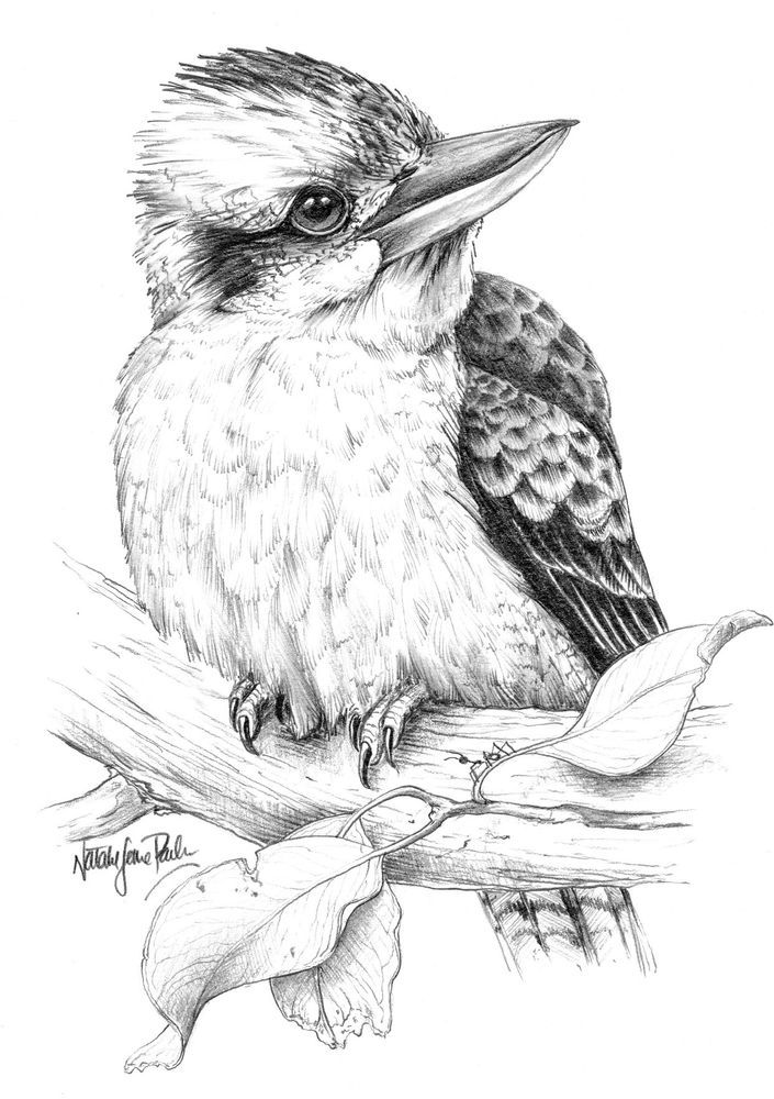 Mdawmdawmdawmdaw7qgraepd6cacehr zcfbfywxu2fyveayeunrgwctqqqltnerwweter6yomfiojy24adow ljj7f22f2vd2s3k0fn 38ezqodftc2xeuhdjufahdziomokxodj3hs jg da6ji5eudq olwagpj5emn5se26gbdljbgkbablw6 rpgihib784r91wxpwvresax50j2f5dahwl6lenvlotij5anvswbalxbdubsar ckuxsyprvspp3798nyophwd9gyxda50mhw f438bmtxrge0hz 9rh1gyg3zp7zrqztjzb ebfvsl