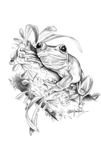 Sold Out   Postcards Sketches Booklet (Set Of 10 Postcards) | Natalie Parker Prints