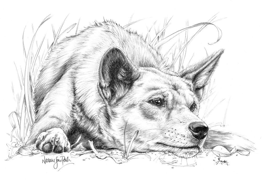 Mdawmdawmdawmdaw7qgraepd6cacehr zcfbfywxu2fyveayeunrgwctqqqltnerwweter6yomfiojy24adow ljj7f22f2vd2s3k0fn 38ezqodftc2xeuhdjufahdziomokxodj3hs jg da6ji5eudq olwagpj5emn5se26gbdljbgkobhha5frvhjzkf y4r91tv goquctxz0j2f5dahwl6lenvlotij5anvswbalxbdubsar ckuxsyprvspp3798nyophwd9gyxda50mhw f438bmtxrge0hz 9rh1iq srbw3cwvsgfe2v5cljy